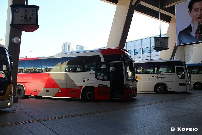 автобусы в Корее 2